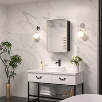 |24x16|Brushed Nickel