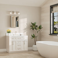 |24x16|Brushed Nickel