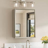 |26x20|Brushed Nickel