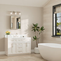 |26x20|Brushed Nickel