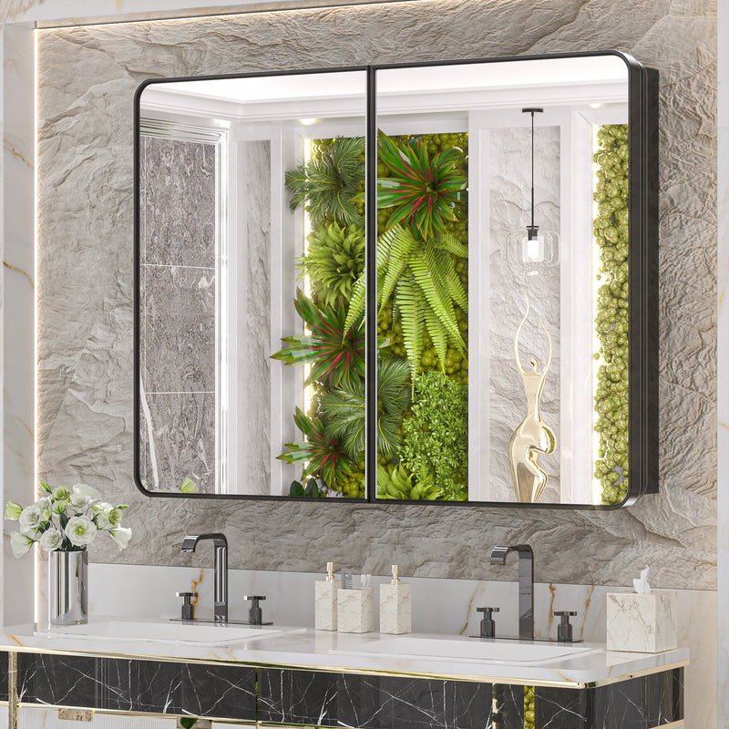 Stainless Steel Framed Medicine Cabinet, black