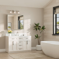 |36x32|Brushed Nickel