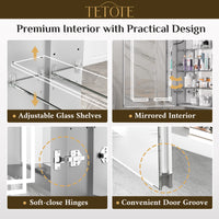 TETOTE Medicine Cabinet Bathroom LED Mirror 3 Colors Stepless Dimming Anti-Fog Memory Funtion Surface Wall Mounted Medicine Cabinets