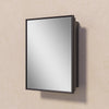 TETOTE Rectangular Mirror Medicine Cabinet