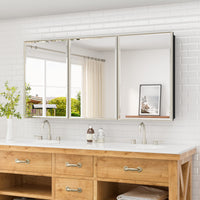 |60x30|Brushed Nickel