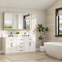 |60x32|Brushed Nickel