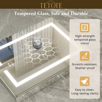 Dual-Lit LED Medicine Cabinet Recessed/Surface