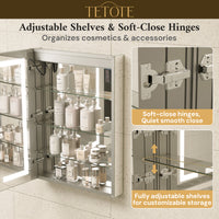 Dual-Lit LED Medicine Cabinet Recessed/Surface
