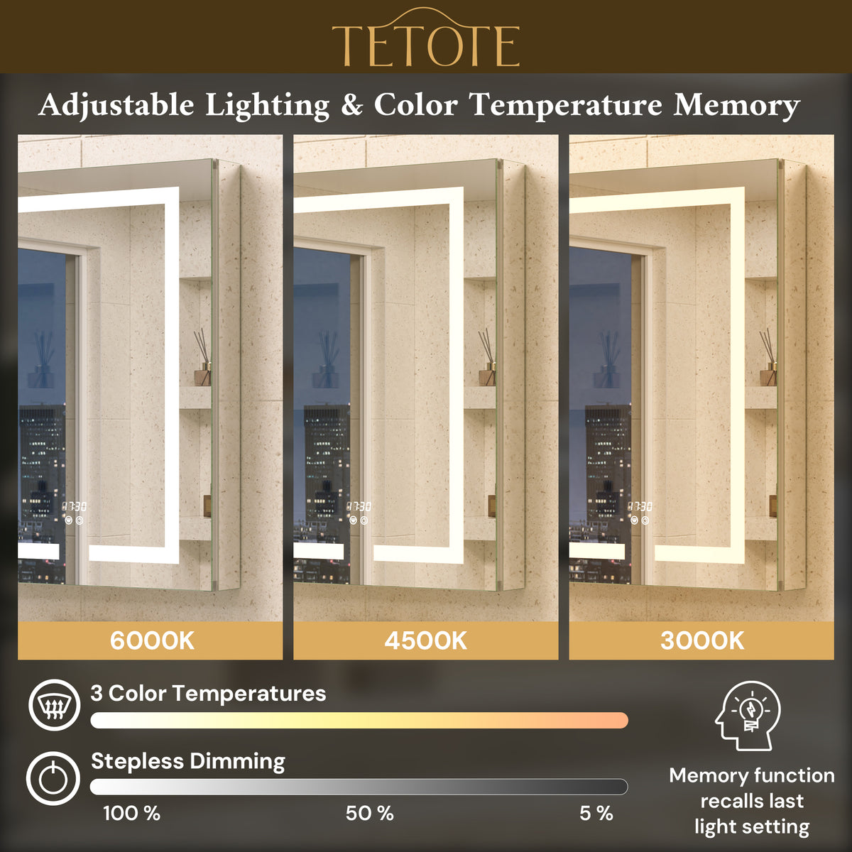 Dual-Lit LED Medicine Cabinet Recessed/Surface