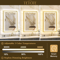 TETOTE Beveled Frame Frontlit & Backlit Mirror